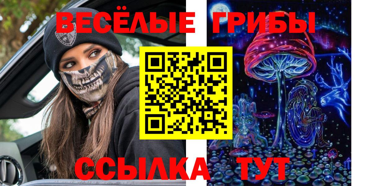 Павловский Посад  Псилоцибиновые грибы Cubensis  Вход с VPN 
